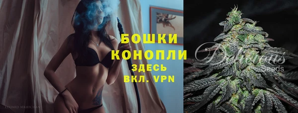 ПСИЛОЦИБИНОВЫЕ ГРИБЫ Балабаново