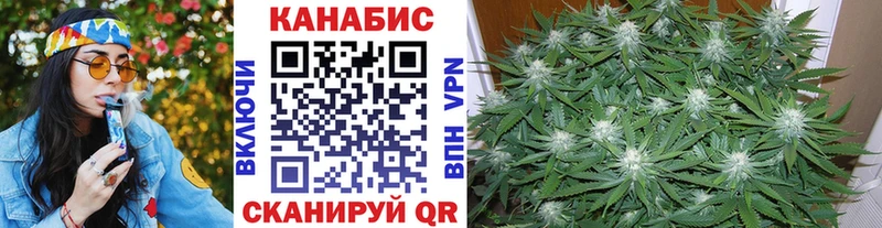 Бошки марихуана AK-47  купить наркотик  Лыткарино 